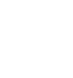 logo berry bliss events